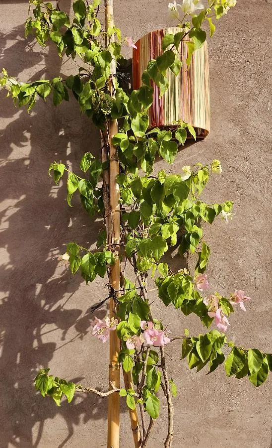 Dar Veridis Marrakesh Pensión
